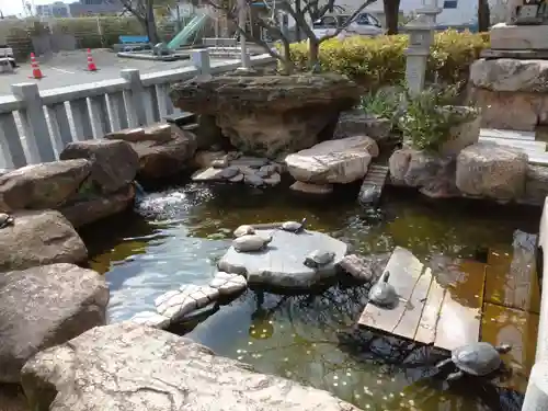 亀山八幡宮の庭園