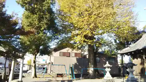 須田神社の周辺