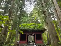 戸隠神社奥社(長野県)
