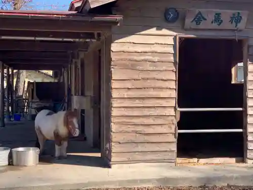 小室浅間神社の動物