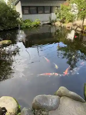 熊野神社(山形県)