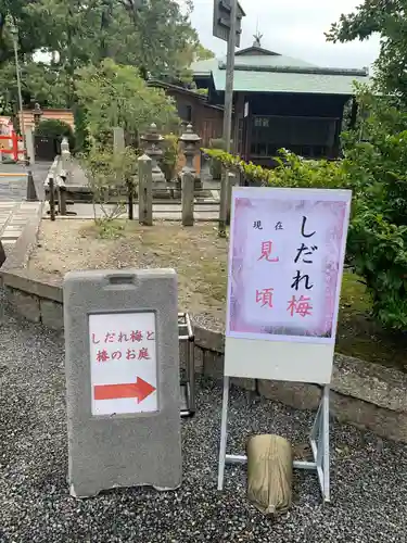 城南宮(京都府)