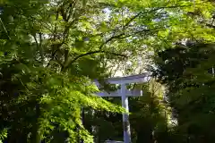 二本松神社の鳥居