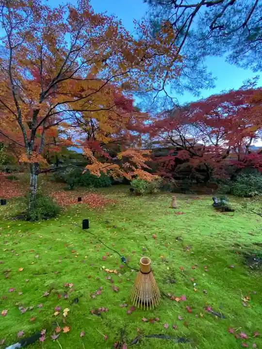 宝厳院(京都府)