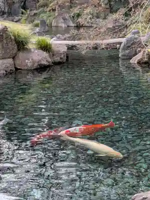 靖國神社(東京都)