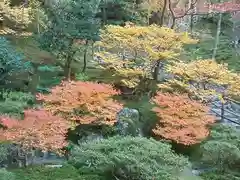 慈照寺（慈照禅寺・銀閣寺）の建物その他