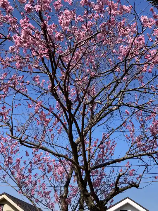 厳島神社(神奈川県)