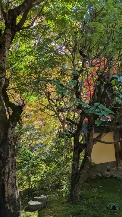 寂光院(京都府)