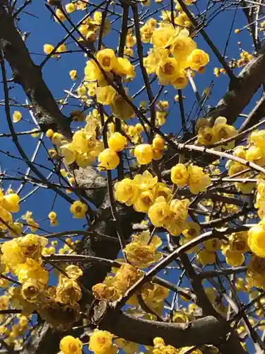 横浜　西方寺の自然