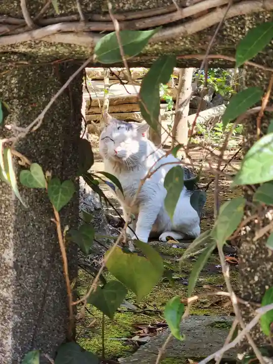 江島神社(神奈川県)