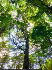 鹿島神社(茨城県)