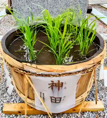 白石神社(北海道)