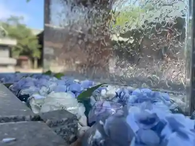 宮地嶽神社(福岡県)