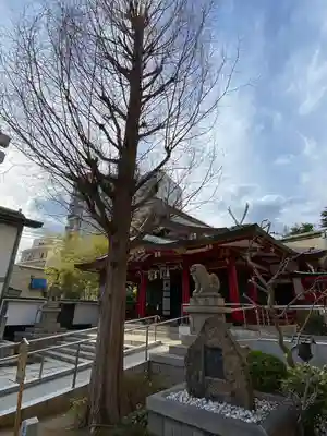 二宮神社の本殿・本堂