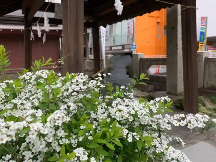 三輪神社の自然