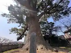 志筑別神社(兵庫県)