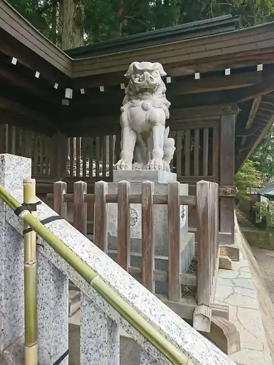 櫻山八幡宮の狛犬