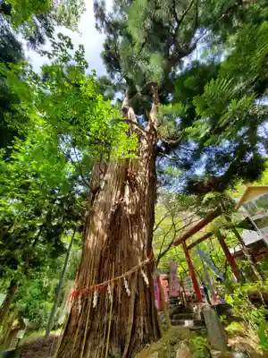 磐椅神社(福島県)