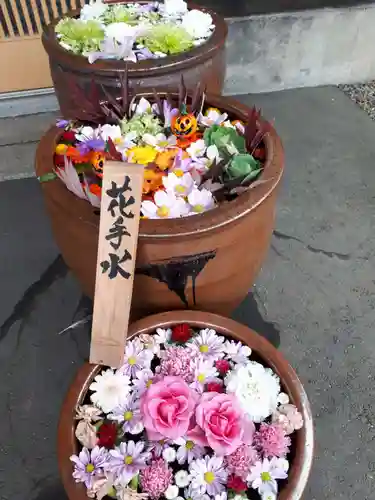 多賀神社の手水