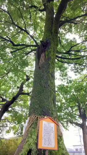 伊勢天照御祖神社（大石神社）のその他建物