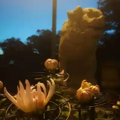 尾張大國霊神社（国府宮）(愛知県)