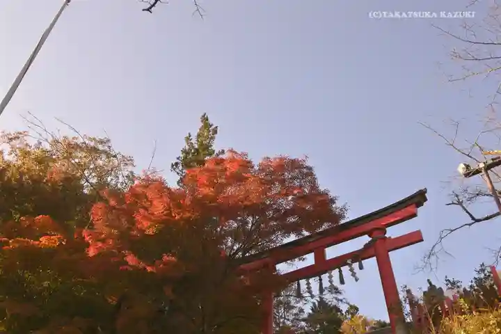 高尾山薬王院の鳥居