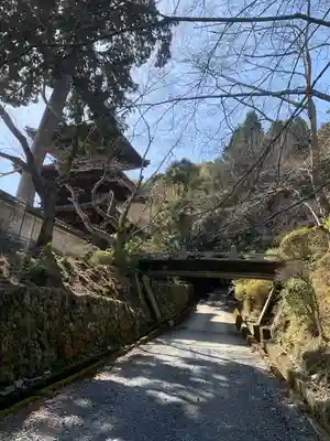 園城寺（三井寺）(滋賀県)