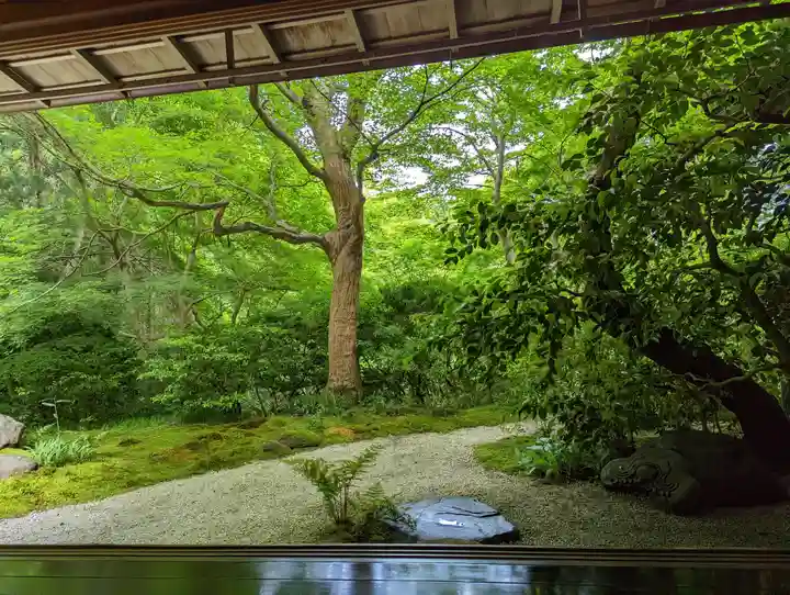 光明寺瑠璃光院(京都府)