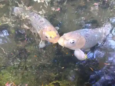 石山寺(滋賀県)