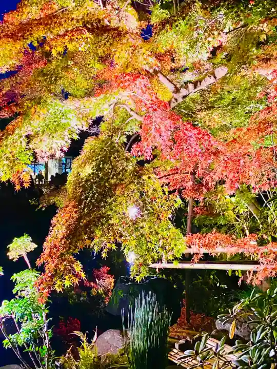 長谷寺(神奈川県)