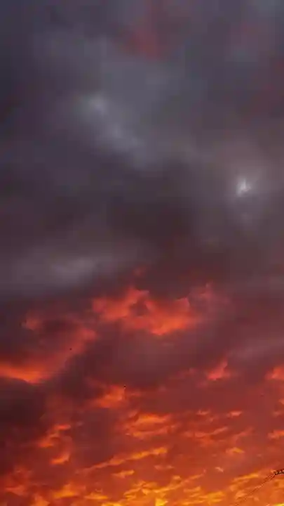 尾張大國霊神社(国府宮)の景色