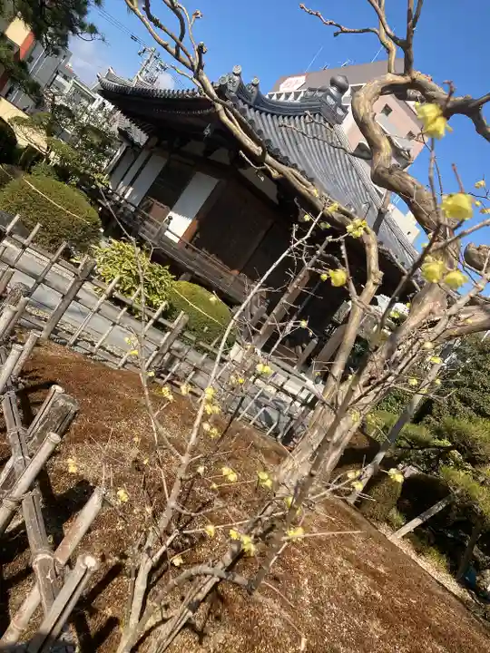 阿弥陀寺(宮城県)