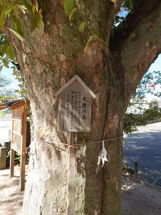 塩屋神社(広島県)