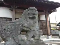 八坂神社の狛犬