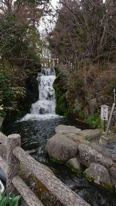 富士山東口本宮 冨士浅間神社の自然