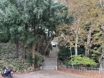 阿夫利神社(千葉県)
