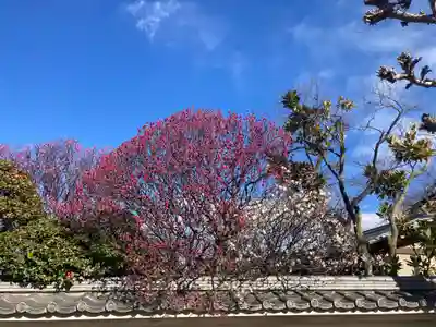 薬師院(神奈川県)
