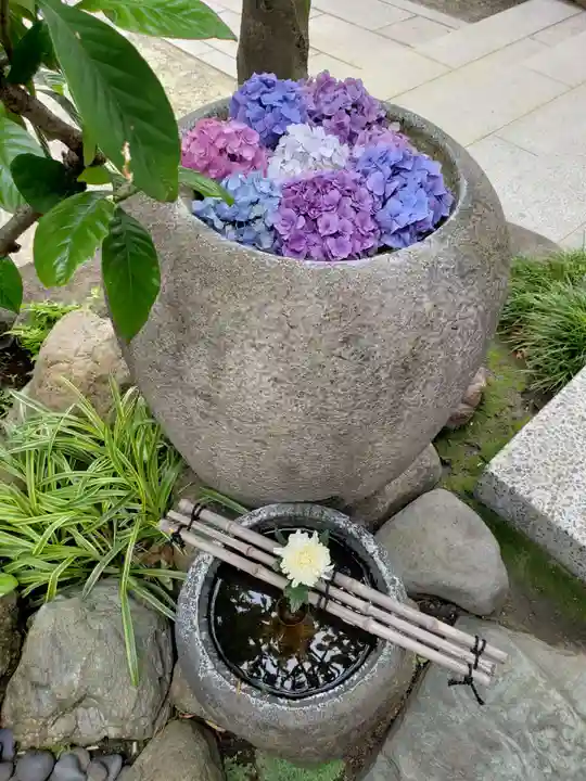 龍泉院の手水舎