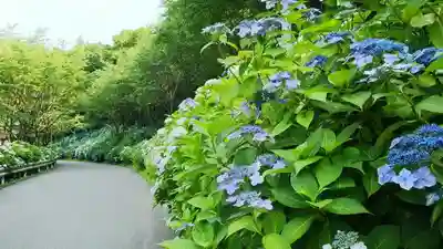 持寳院(多氣山不動尊)の周辺