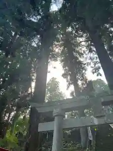 大宮温泉神社(栃木県)(2023年09月29日(金) 11時54分36秒投稿)