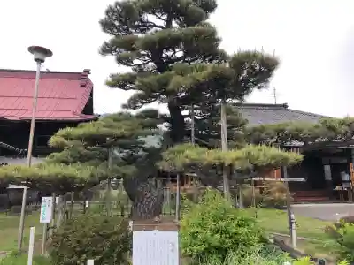 上田大神宮の{uncategorized: "未分類", other: "その他", undefined: "問題あり", building: "その他建物", grave: "お墓", sacred_gate: "鳥居", guardian: "狛犬", statue: "像", buddha: "仏像", history: "歴史", nature: "自然", garden: "庭園", animal: "動物", pagoda: "塔", temizu: "手水舎", mountain_gate: "山門・神門", sanctuary: "本殿・本堂", subordinate: "末社・摂社", art: "芸術", scenery: "景色", jizo: "地蔵", ema: "絵馬", goshuin: "御朱印", omikuji: "おみくじ", items: "授与品その他", amulet: "お守り", goshuincho: "御朱印帳", eats: "食事", festival: "お祭り", votive_dance: "神楽", shichigosan: "七五三参", wedding: "結婚式", experience: "体験その他", initially: "初詣", around: "周辺", anti_infection: "感染症対策"}
