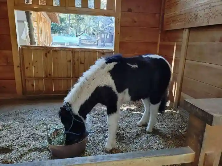 平塚八幡宮(神奈川県)