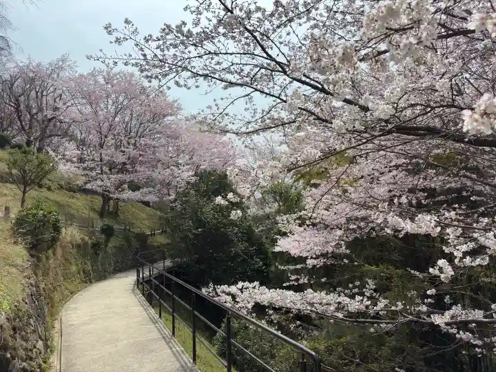 大神神社の{uncategorized: "未分類", other: "その他", undefined: "問題あり", building: "その他建物", grave: "お墓", sacred_gate: "鳥居", guardian: "狛犬", statue: "像", buddha: "仏像", history: "歴史", nature: "自然", garden: "庭園", animal: "動物", pagoda: "塔", temizu: "手水舎", mountain_gate: "山門・神門", sanctuary: "本殿・本堂", subordinate: "末社・摂社", art: "芸術", scenery: "景色", jizo: "地蔵", ema: "絵馬", goshuin: "御朱印", omikuji: "おみくじ", items: "授与品その他", amulet: "お守り", goshuincho: "御朱印帳", eats: "食事", festival: "お祭り", votive_dance: "神楽", shichigosan: "七五三参", wedding: "結婚式", experience: "体験その他", initially: "初詣", around: "周辺", anti_infection: "感染症対策"}