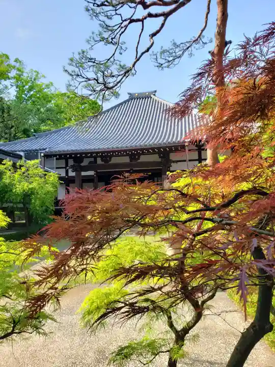 妙法寺(東京都)