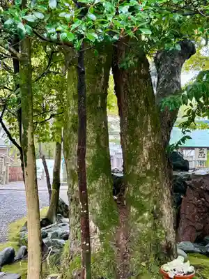 若宮神明社(愛知県)