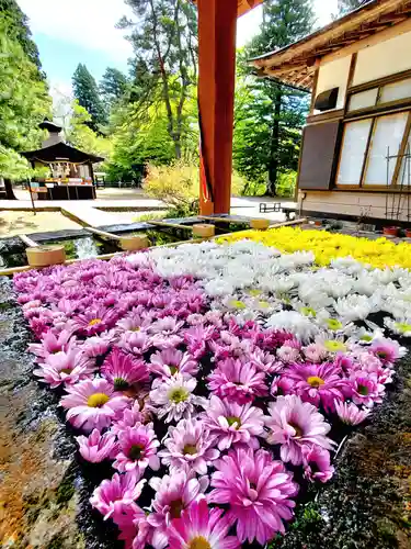 土津神社｜こどもと出世の神さまの手水