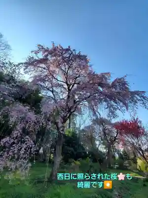 上合寺(福島県)