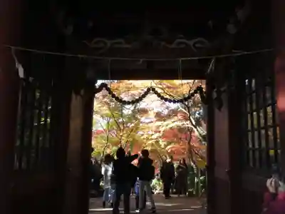 本土寺(千葉県)