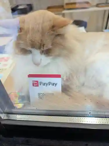 駒込妙義神社(東京都)