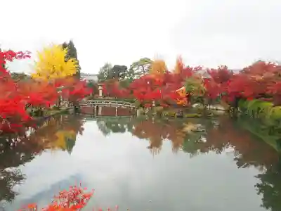 禅林寺(永観堂)(京都府)